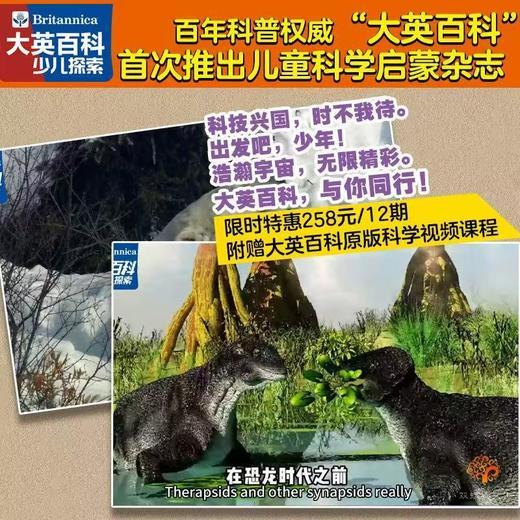 《大英百科少儿探索》（全年12期）， 300年权威品牌，中科院专家审校，启蒙孩子的科学和人文 商品图6