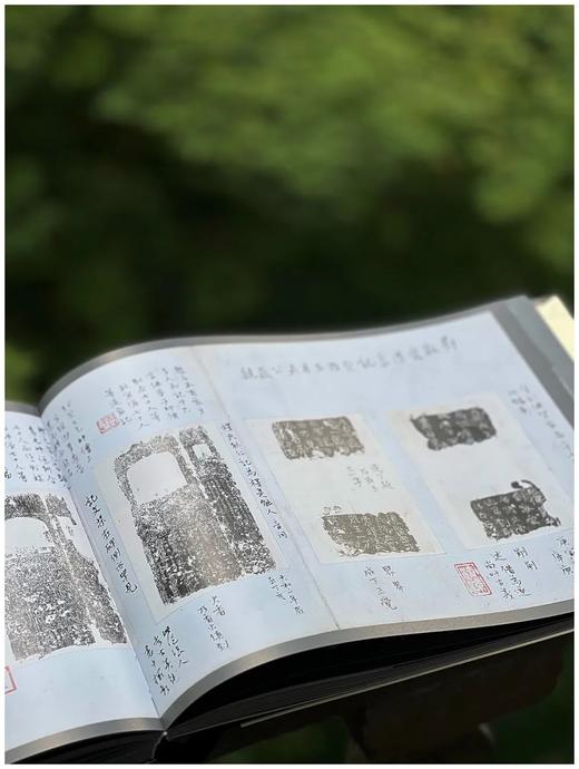 重磅推荐！！《北周石刻造像拓真》，16开，软精装一函一册，王克勤著，上海文化出版社2025年一版一印，364页，定价680元。售价见后。 商品图11