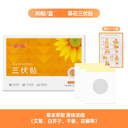 【艾草三伏贴】家用温灸贴 夏季三伏天穴位贴艾灸贴 成人儿童膏药贴  商品图7