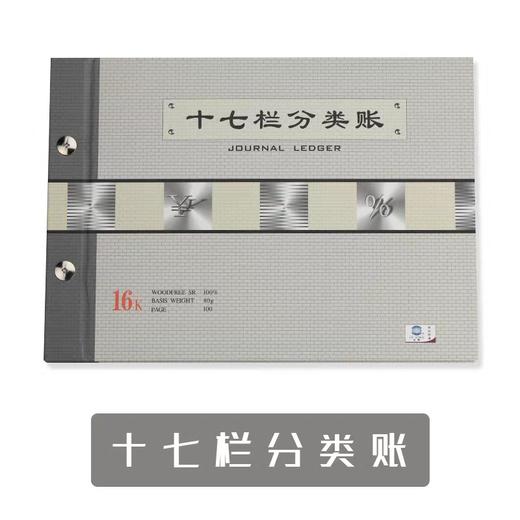 十七栏分类账 商品图0