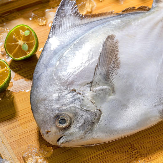 MM 山姆 大白鲳 1kg 商品图4