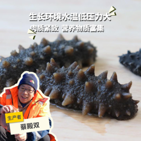 野生深海辽刺参简装&礼盒 | 合作生产* Feral Holothurian | Coproduction