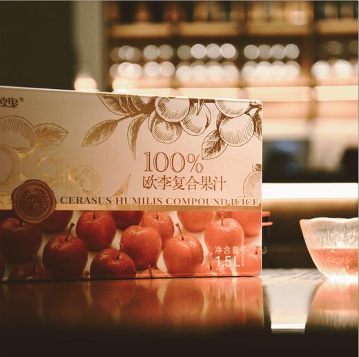 白露木實【礼遇分享装】欧李复合果汁1.5L 水果钙家庭桶NFC 商品图3