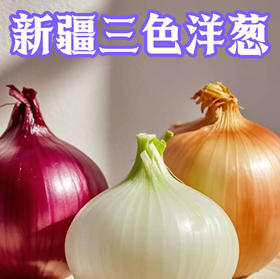 新疆三色洋葱 双拼洋葱 白洋葱 当季蔬菜