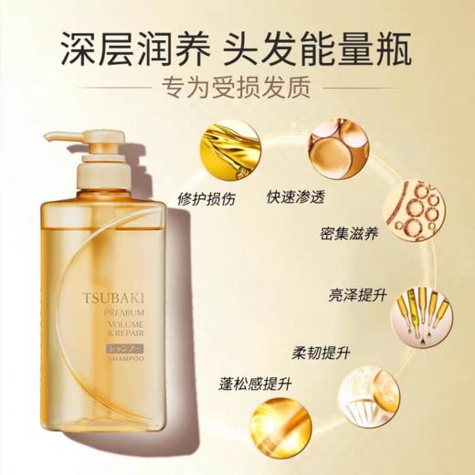 资生堂丝蓓绮沁耀臻致修护洗发露 商品图1