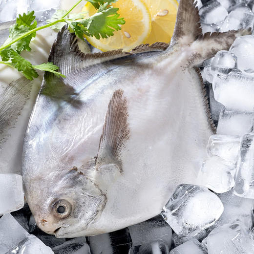 MM 山姆 大白鲳 1kg 商品图3