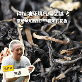 生态茶·大树茉莉滇红（25年新茶） | 公平贸易*Eco-jasmine & Yunnan black tea of old tree | Fair trade