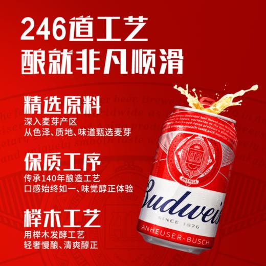 MM 山姆 百威啤酒 255ml*24 商品图3