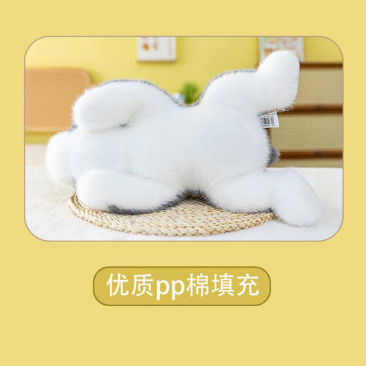 40cm趴姿雪纳瑞中号玩具纪念日百货门店同款163800061 商品图4