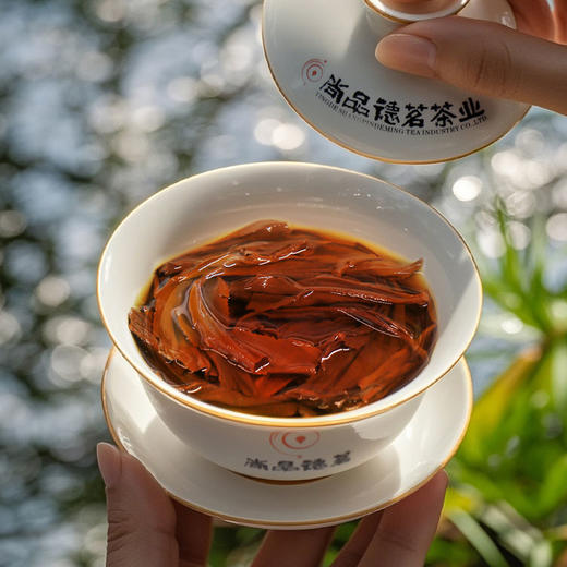 【尚品德茗-正】英德红茶-鸿雁十二号红茶 商品图5
