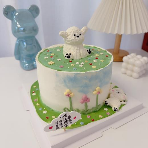 多款~躺平小动物狗熊兔羊卡通蛋糕-低糖处理无添加 商品图5