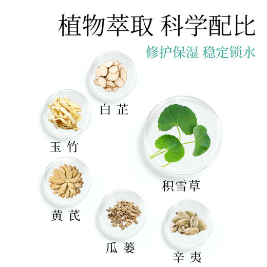 兰渚堂自研 武则天面霜 50g/瓶 商品图4