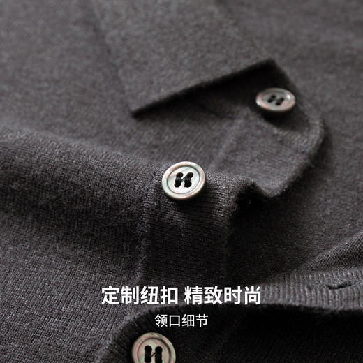 圣得西男士柔软易打理针织POLO衫2025秋季通勤易搭新款舒适毛衣 商品图8