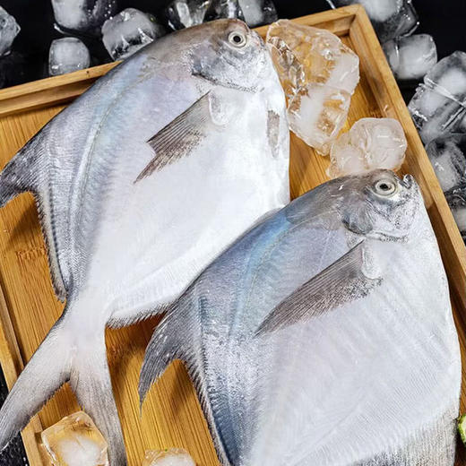 MM 山姆 大白鲳 1kg 商品图2