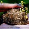 白昼 - 黄缘龟 铜龟 青铜实心 瑰宝龟宝系列摆件茶宠 黄缘闭壳龟半水龟 爬宠模型周边 ★官方正版【48小时发货】 商品缩略图2