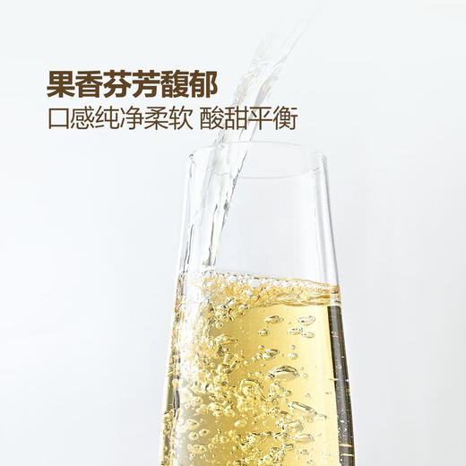 MM 山姆 Member's Mark MM 法国进口 阿尔萨斯 琼瑶浆白葡萄酒 750ml 商品图5