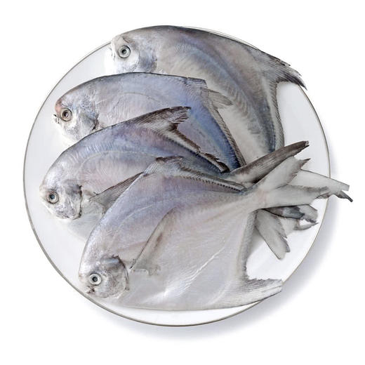 MM 山姆 大白鲳 1kg 商品图6