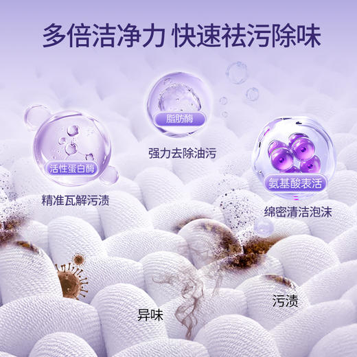 【多买多送】薰衣草洗衣液 大桶装强力去渍 持久留香清洁剂 深层洁净固色鲜亮洗衣液 商品图2