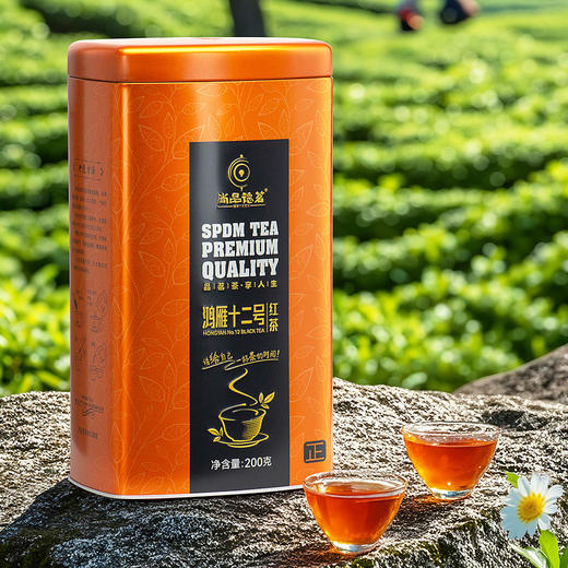 【尚品德茗-正】英德红茶-鸿雁十二号红茶 商品图1