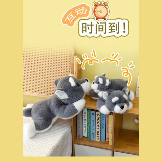 40cm趴姿雪纳瑞中号玩具纪念日百货门店同款163800061 商品图3