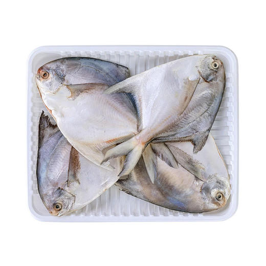 MM 山姆 大白鲳 1kg 商品图0