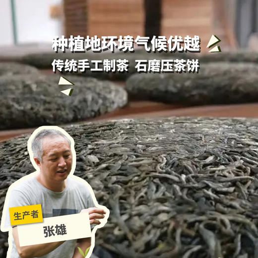 生态茶·头春生普茶饼 | 公平贸易*Eco-Raw pu'er tea  | Fair trade 商品图0
