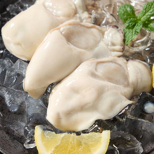 MM 山姆 鲜开生蚝肉600g（300g*2罐） 商品图2