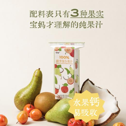白露木實 欧李（钙果）复合果汁  清润K炎 儿童餐搭水果钙NFC 乳糖无虑 商品图0