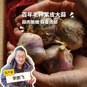 生态鲜大蒜（紫皮，老品种）| 合作生产*Ecological garlic| Coproducted
