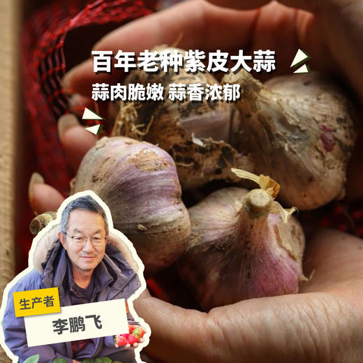生态鲜大蒜（紫皮，老品种）| 合作生产*Ecological garlic| Coproducted 商品图0