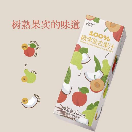 白露木實 欧李（钙果）复合果汁  清润K炎 儿童餐搭水果钙NFC 乳糖无虑 商品图6