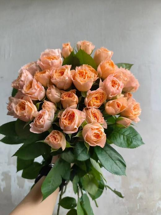 米奇泡泡国产多头玫瑰10支 商品图4