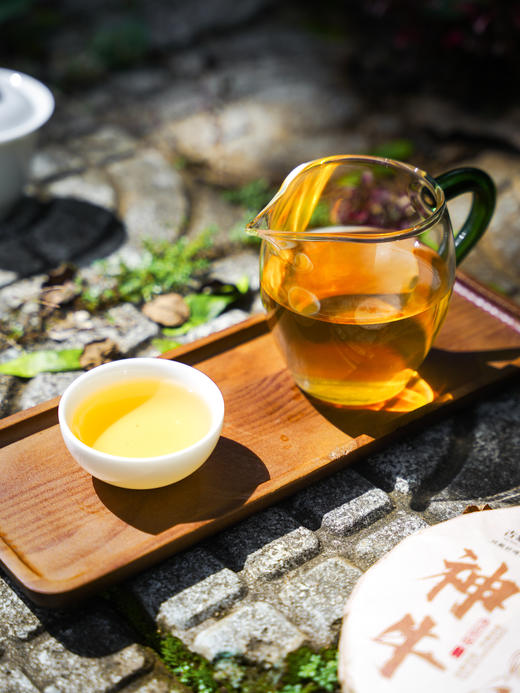 【21年神牛】【晚8点超值福利场】工厂升级，品牌升级！为打造旅居茶庄园，清仓放漏 商品图3