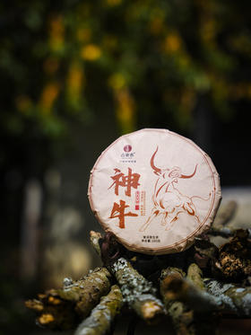 【21年神牛】【晚8点超值福利场】工厂升级，品牌升级！为打造旅居茶庄园，清仓放漏