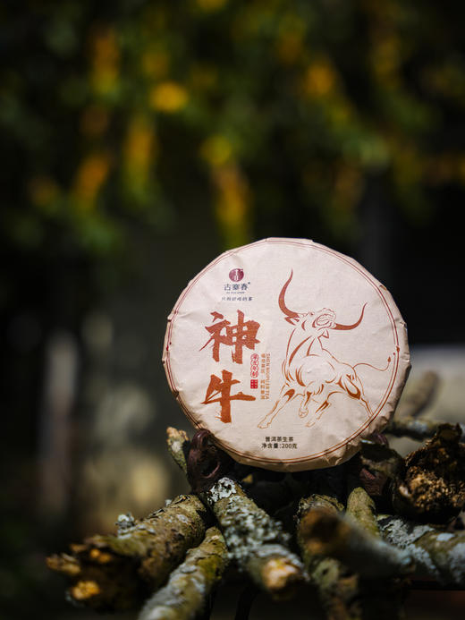 【21年神牛】【晚8点超值福利场】工厂升级，品牌升级！为打造旅居茶庄园，清仓放漏 商品图0