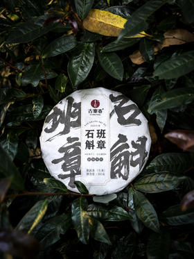 2025年【班章石斛】古寨春自主研发产品云南普洱茶云南铁皮石斛的邂逅 357g/饼