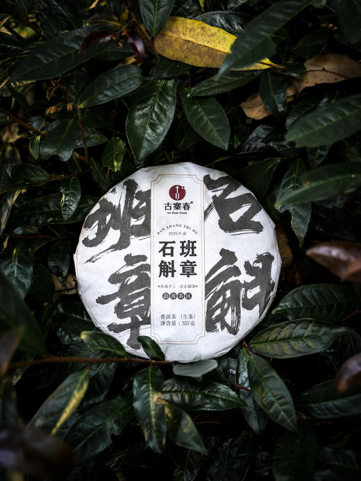 2025年【班章石斛】古寨春自主研发产品云南普洱茶云南铁皮石斛的邂逅 357g/饼 商品图0