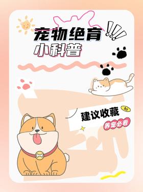 宠物绝育非常重要❗❗