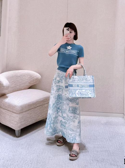 BT104-迪奥托特小号湖蓝虎（BT*MM）7.22直播款 商品图6