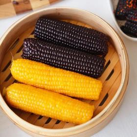 黑金时刻·Corn ultra 玉米
