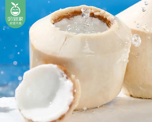 泰国功夫椰青特大果*2颗（约1000g/颗） 商品图3