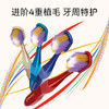 MM 山姆 日本进口 奢护龈沟宽头牙刷中毛（6支）+焕白靓齿宽头牙刷中毛（1支） 商品缩略图1