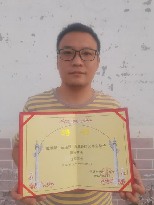 温县地铁棍山药 商品图5