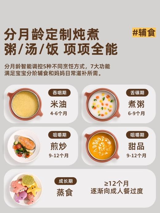 Mamahome辅食电炖砂锅盅煲1升容量汤粥宝宝婴儿小饭煲多功能蒸煮一体米油FM01 商品图1