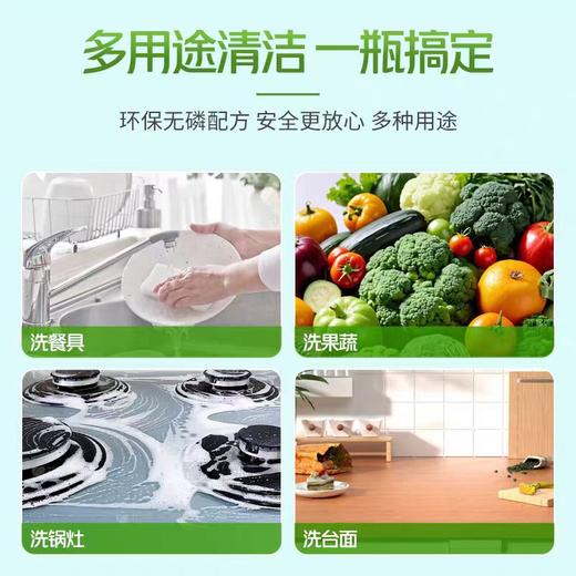 【亚欧超市】白猫绿茶薄荷洗洁精458g/瓶 商品图1