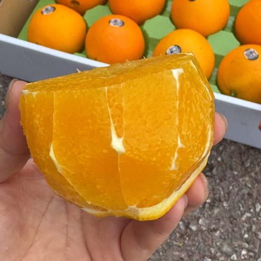 澳洲阳光澳橙 商品图2