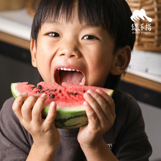 生态西瓜（河北）|合作生产 *Ecological Watermelon | Partner Production 商品图2