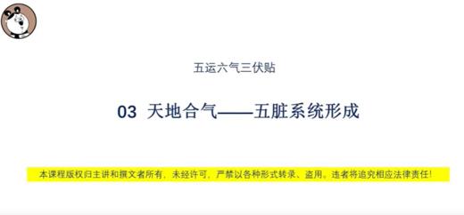 03天地合气--五脏系统形成 商品图0