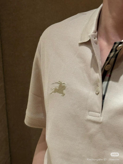 721-2 渠道圆正 BB格纹前襟 6073新色到 polo翻领 战马刺绣 男士polo短袖T恤 商品图3