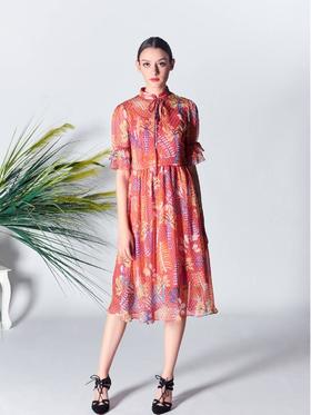 🌿 植物园来信